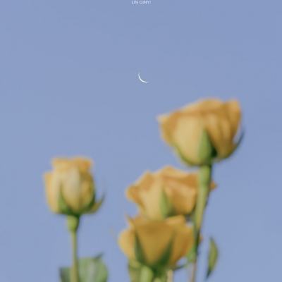 江南全站app下载官方网站