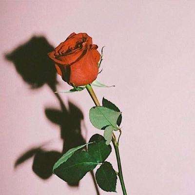 乐鱼官方手机app下载