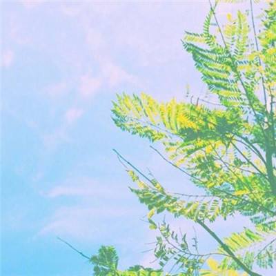 大四喜手机app下载