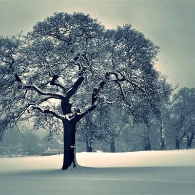 购彩中心welcome入口官方版手机app下载