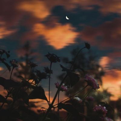 乐虎国际下载手机版