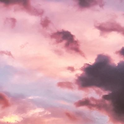 bob综合在线体育